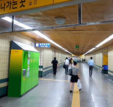 사업영역